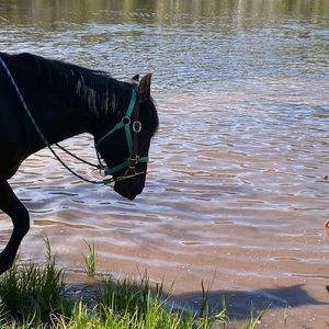 Meet your Posher, Cali